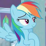 rainbow dash